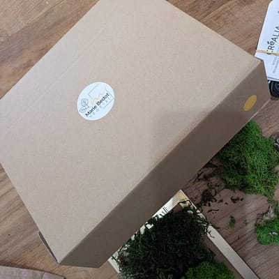 Brume d'Hiver : Kit Givré