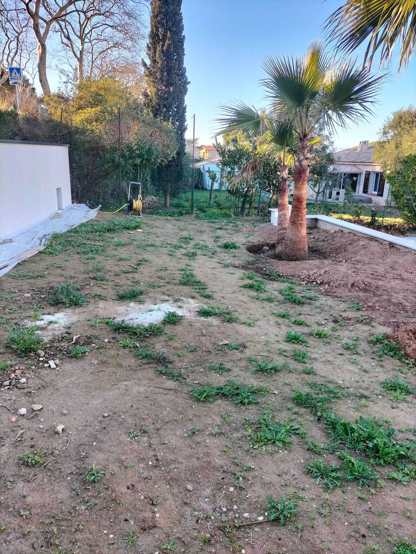 jardin en ville abandonné